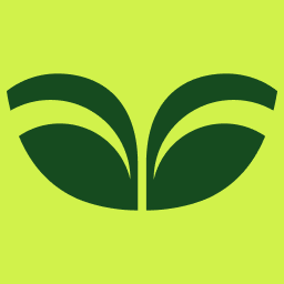 Duetti portfolio logo